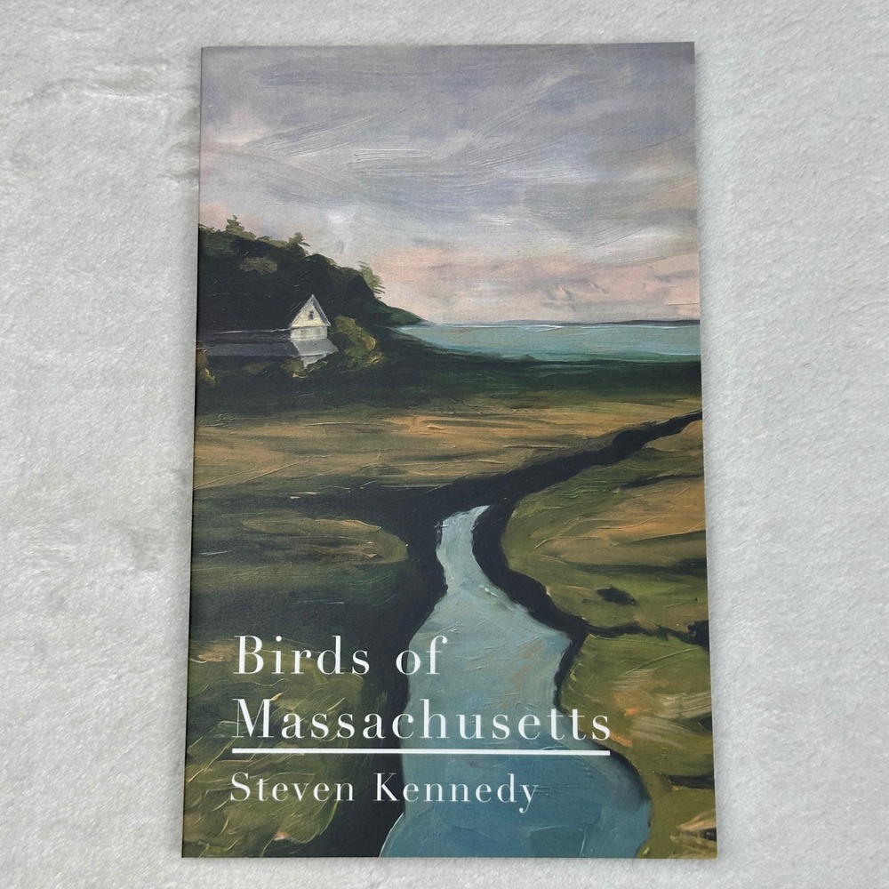 Birds of Massachusetts Steven Kennedy Paperback Novel 2019 Clark Gross Award